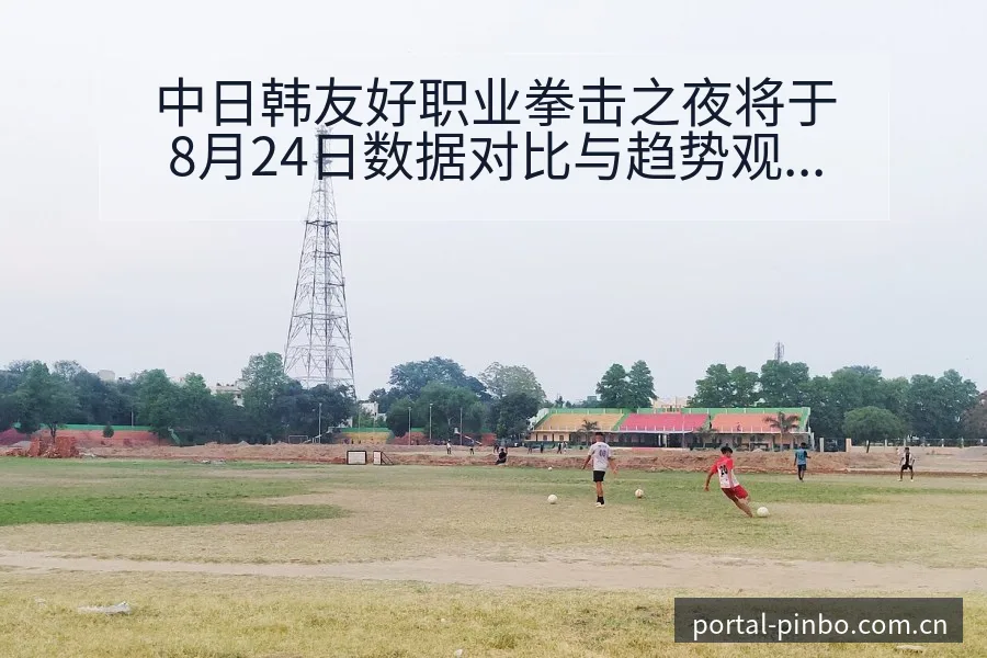 中日韩友好职业拳击之夜将于8月24日数据对比与趋势观察中 - 平博